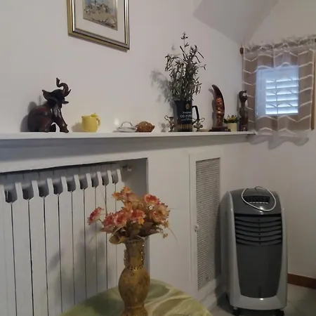 La Casa Del Bobo